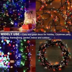 13 Meter 42 LED Multicolor Rice Light Decorative String for Diwali & Christmas. ( default, Standard )